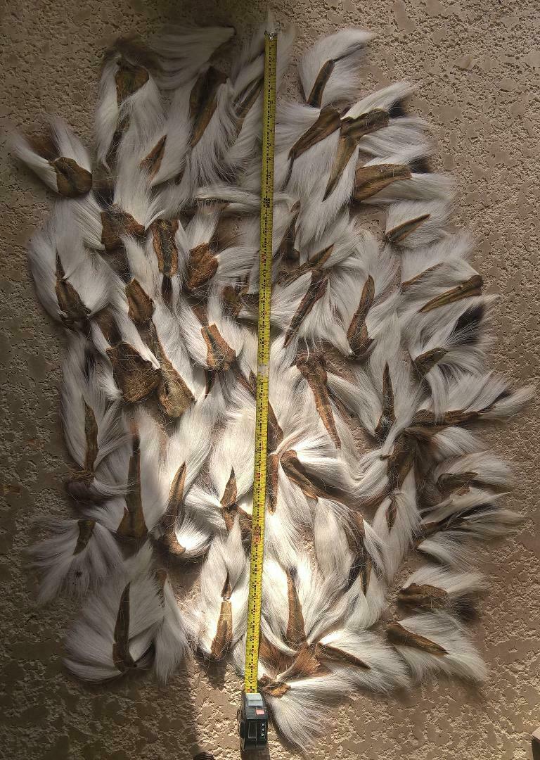 **GREAT DEAL** WHITE Northern  BUCKTAIL Deer Hair Buck Tail for jigs fly tying